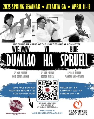 Aikido seminar poster