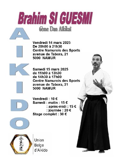 Aikido seminar poster