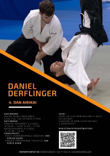 Aikido seminar poster