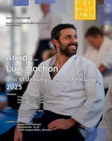 Aikido seminar poster