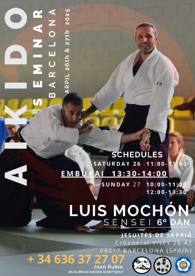 Aikido seminar poster