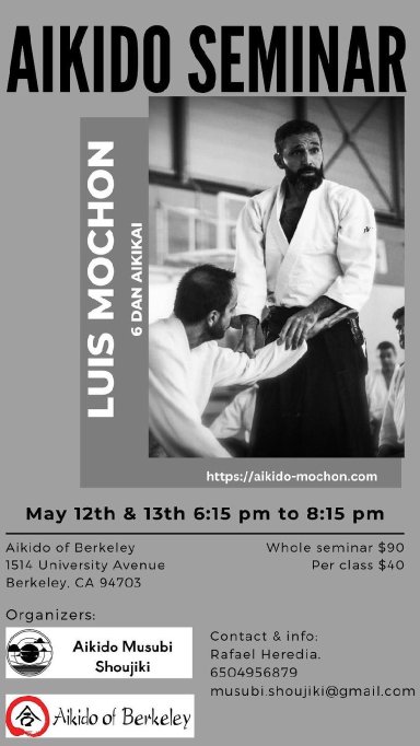 Aikido seminar poster