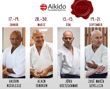 Aikido seminar poster