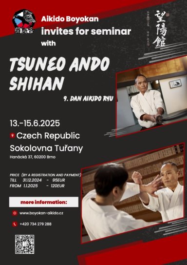 Aikido seminar poster