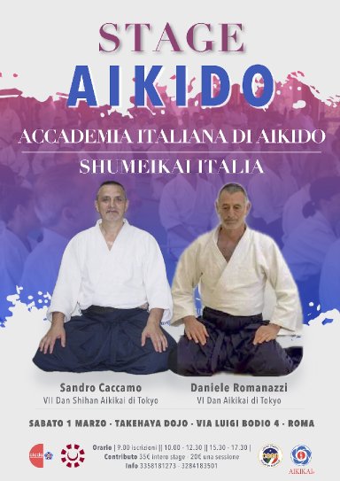 Aikido seminar poster