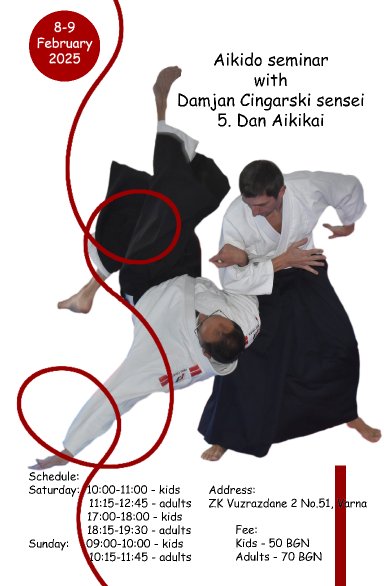 Aikido seminar poster