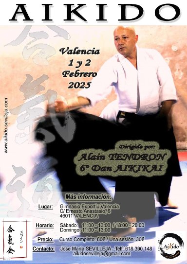 Aikido seminar poster