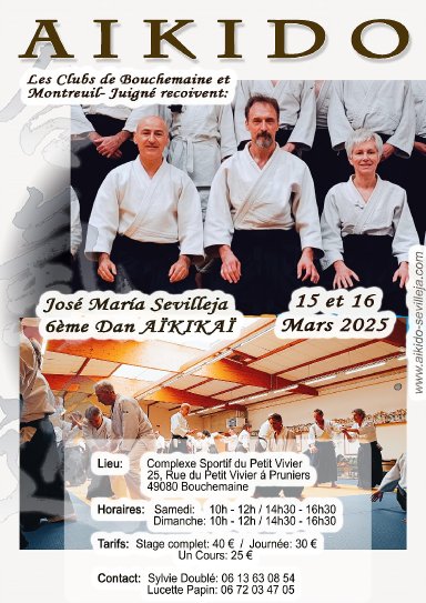 Aikido seminar poster