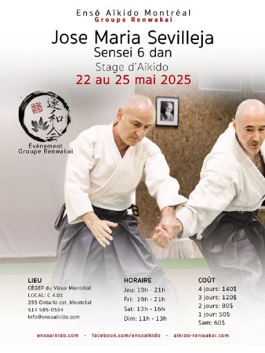 Aikido seminar poster