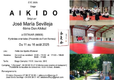 Aikido seminar poster