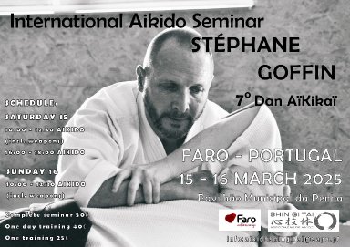 Aikido seminar poster