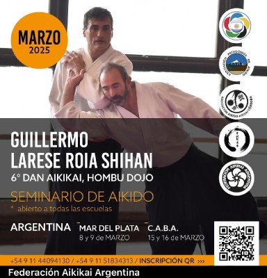 Aikido seminar poster