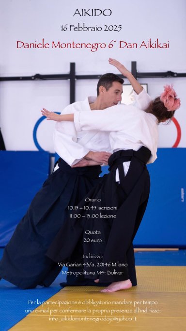 Aikido seminar poster