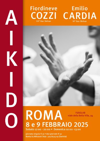 Aikido seminar poster