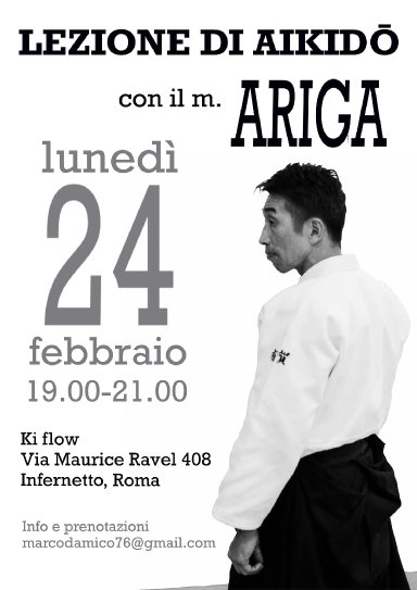 Aikido seminar poster