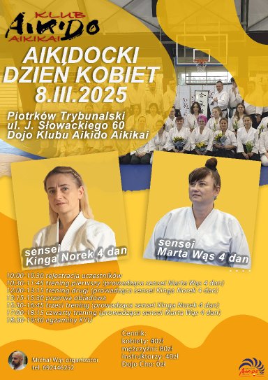 Aikido seminar poster