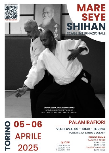 Aikido seminar poster