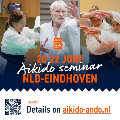 Aikido seminar poster