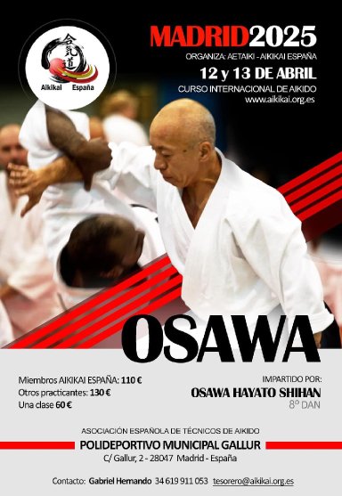 Aikido seminar poster