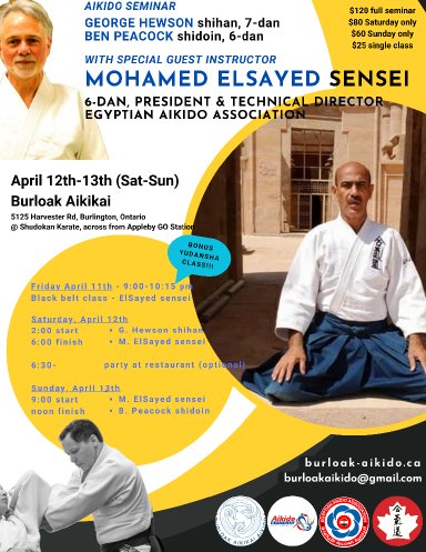 Aikido seminar poster