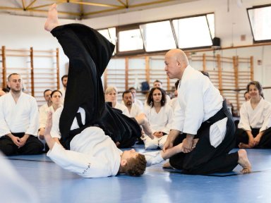 Aikido seminar poster
