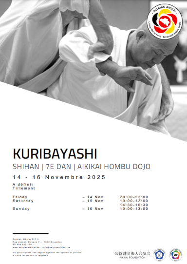 Aikido seminar poster