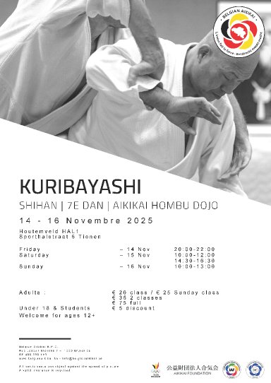 Aikido seminar poster