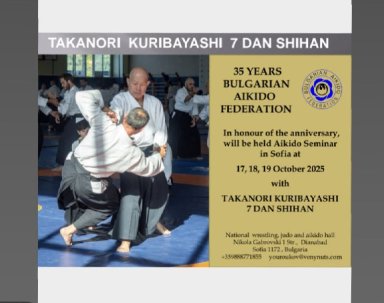 Aikido seminar poster