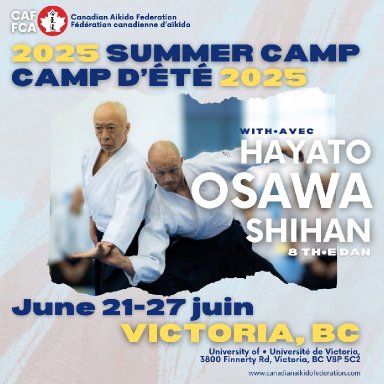 Aikido seminar poster