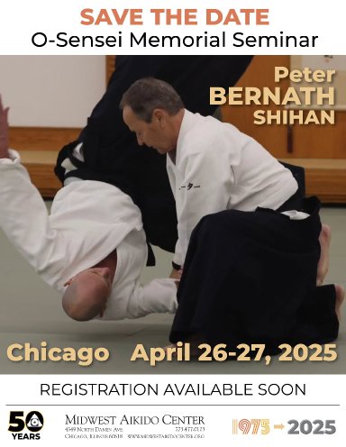 Aikido seminar poster