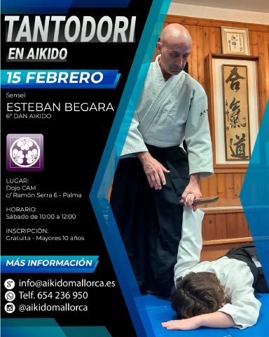 Aikido seminar poster