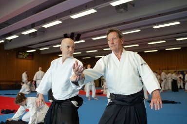 Aikido seminar poster