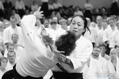 Aikido seminar poster