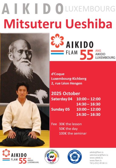 Aikido seminar poster