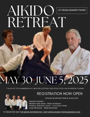 Aikido seminar poster