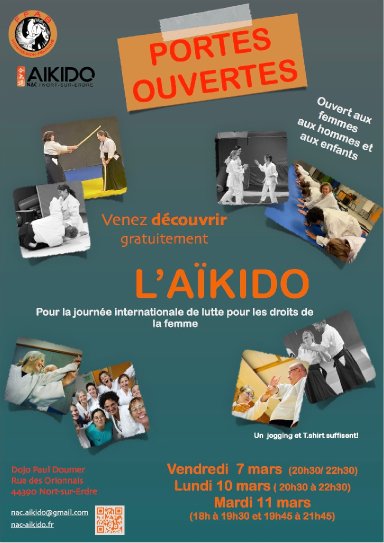 Aikido seminar poster