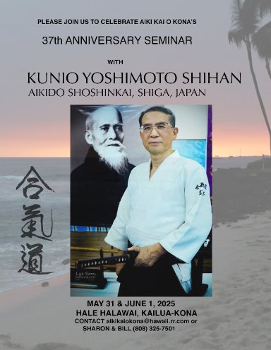 Aikido seminar poster