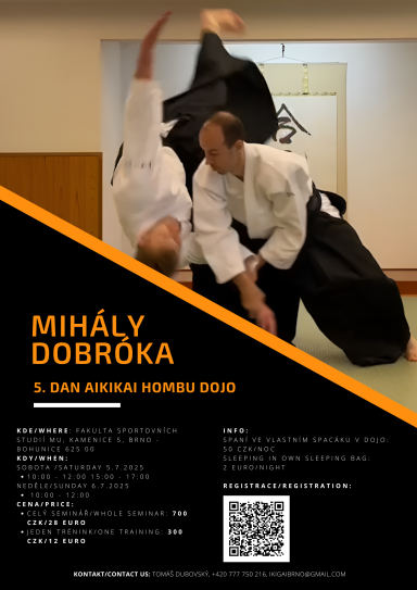 Aikido seminar poster