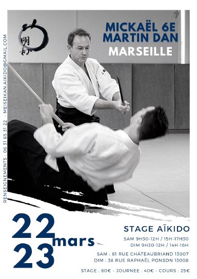 Aikido seminar poster