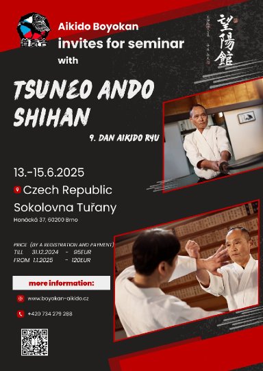 Aikido seminar poster