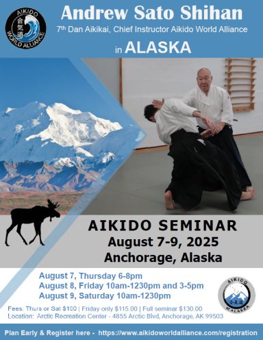 Aikido seminar poster