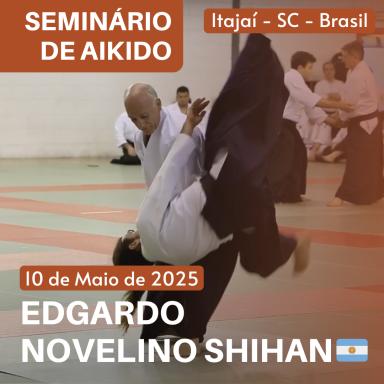 Aikido seminar poster