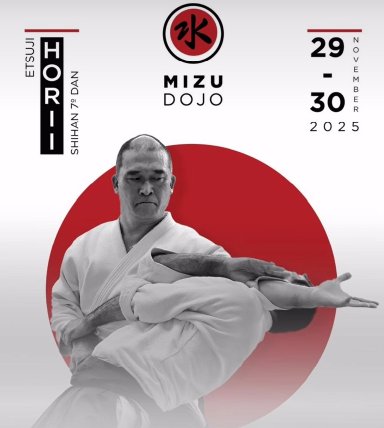 Aikido seminar poster