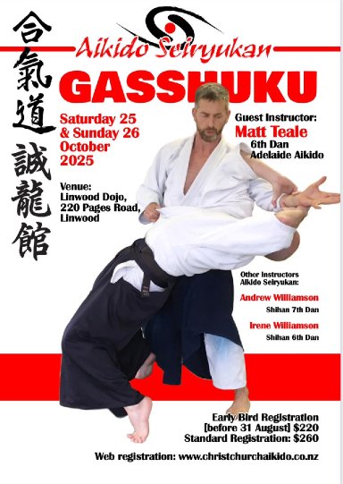 Aikido seminar poster