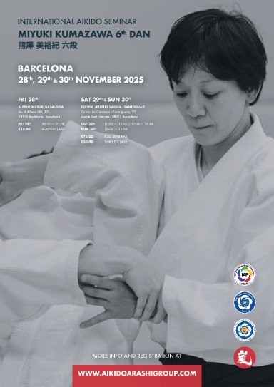 Aikido seminar poster