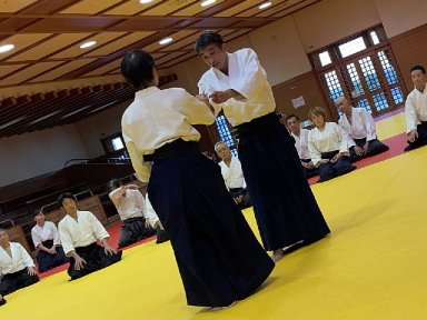 Aikido seminar poster