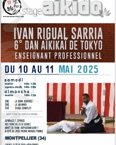 Aikido seminar poster