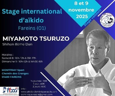 Aikido seminar poster