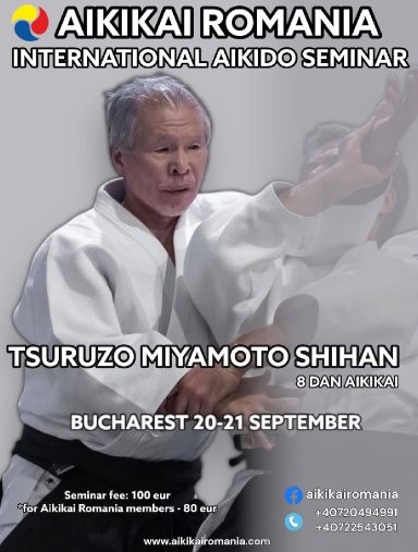 Aikido seminar poster