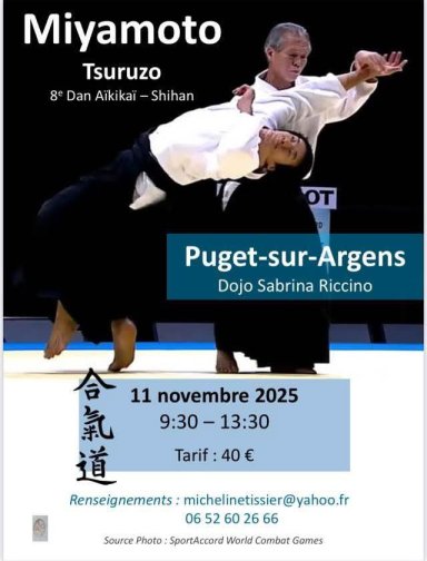 Aikido seminar poster